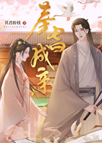 奉旨成亲国语电视剧