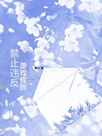 禁止违反游戏规则