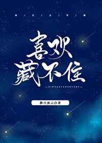 喜欢藏不住by十夜灯讲什么